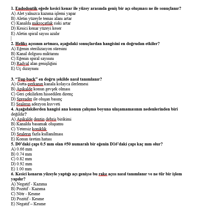 örnek sorular